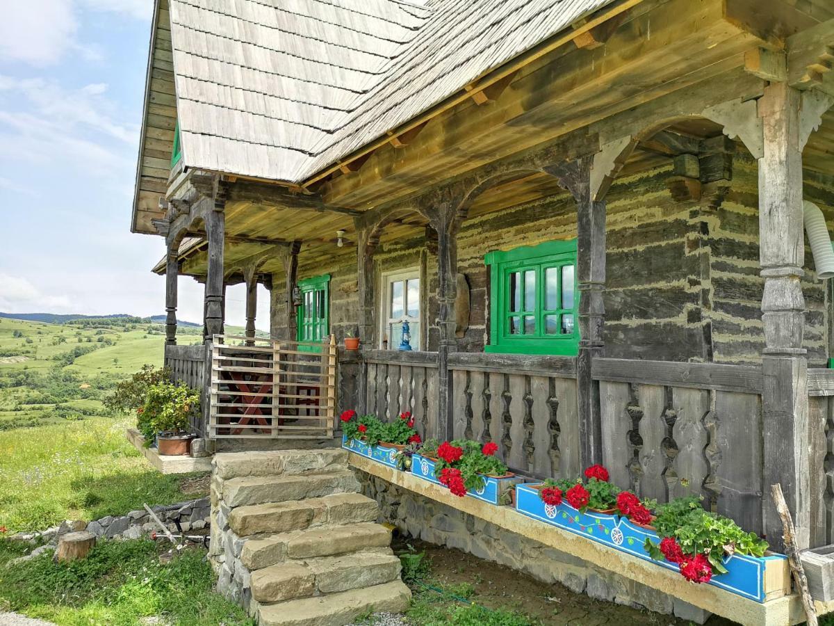 Glod  Casa Glod 게스트하우스 외부 사진