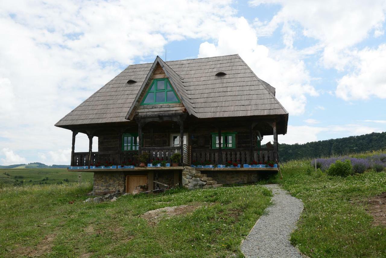 Glod  Casa Glod 게스트하우스 외부 사진